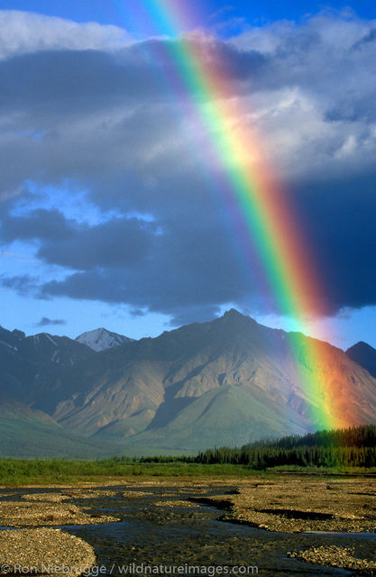 AK, Ak., Alaska, Alaska Range, America, American, Americas, Autumn, Denali, Denali National Park, Fall, NP, National Park, Niebrugge...