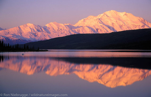 AK, Alaska, Alaskan, Americas, Denali, Denali National Park, Mt McKinley, Mt. McKinley, Mt.McKinley, MtMcKinley, NP, National...
