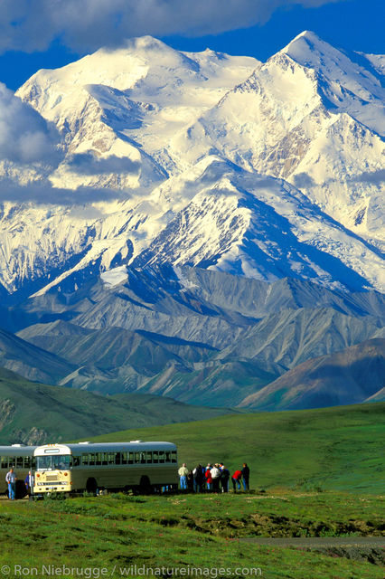 Mt. McKinley Tour Buses Stony Dome