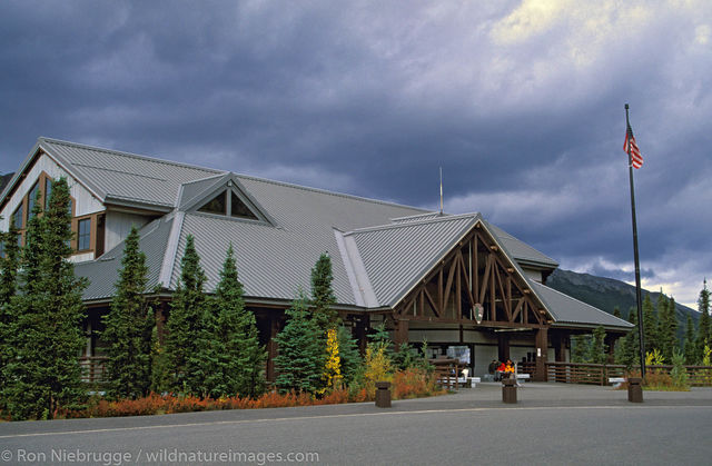 AK, Alaska, Alaskan, Americas, Denali, Denali National Park, NP, National Park, North America, North American, Park, Ron Niebrugge...