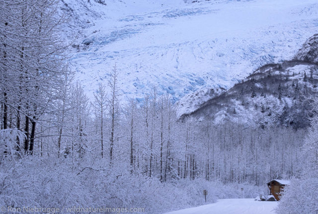 AK, Ak., Alaska, America, American, Americas, Exit, Kenai Fjords National Park, Kenai Peninsula, National, Niebrugge, North...
