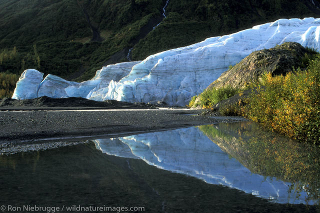 Exit Glacier