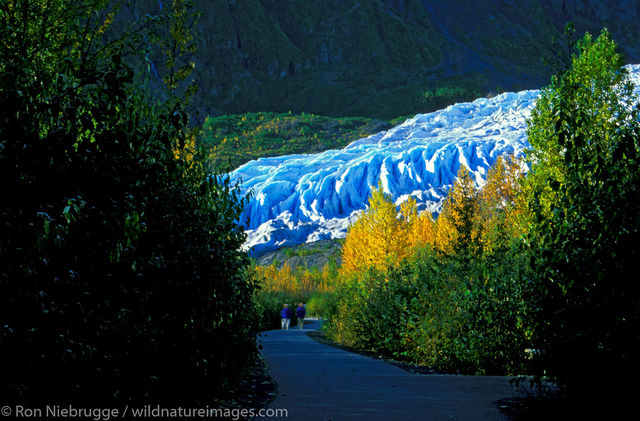 AK, Alaska, Alaskan, America, American, Americas, Autumn, Exit, Fall, Kenai Fjords National Park, Kenai Peninsula, National...