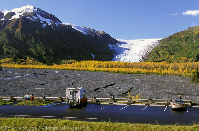 Exit Glacier Viewpoint