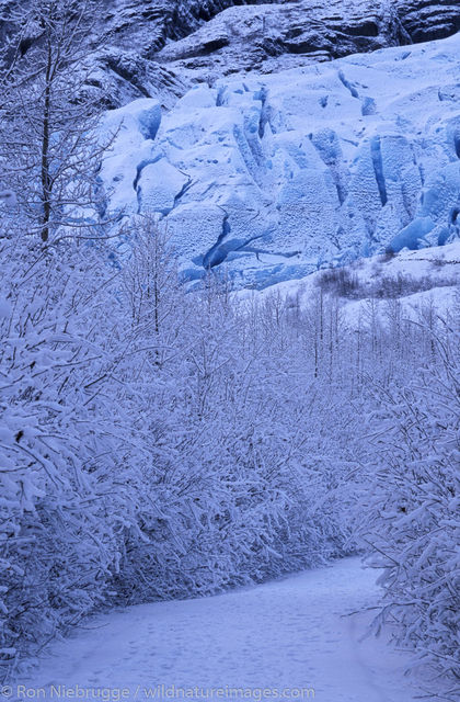 AK, Ak., Alaska, America, American, Americas, Exit, Exit Glacier, Kenai Fjords National Park, Kenai Peninsula, National, Niebrugge...