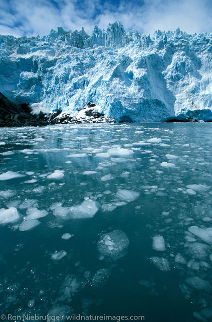 AK, Aialik, Ak., Alaska, America, American, Americas, Kenai Fjords National Park, National, Niebrugge, North, North American...