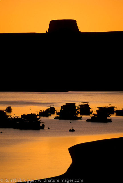 Sunset Silhouette