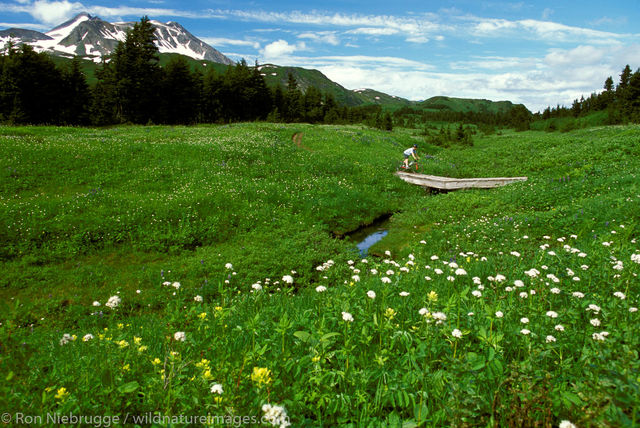 AK, Alaska, America, American, Americas, Chugach, Chugach National Forest, Lost Lake Trail, Mountain biking, National, Niebrugge...
