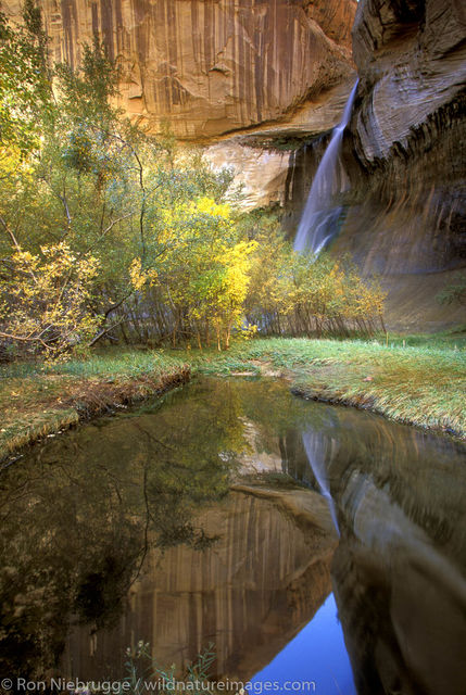 Lower Calf Creek Falls