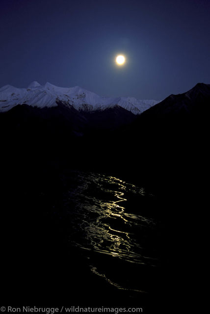 AK, Ak., Alaska, Alaska Range, America, American, Americas, Denali, Denali National Park, McKinley River, NP, National Park...