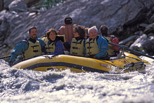 Alaska, Americas, Denali, Denali National Park, NP, National Park, Nenana River, North America, North American, Park, Recreation...