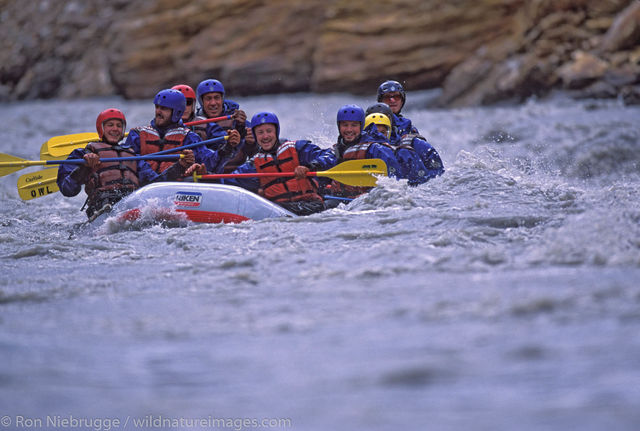 Alaska, Americas, Denali, Denali National Park, NP, National Park, Nenana River, North America, North American, Park, Recreation...