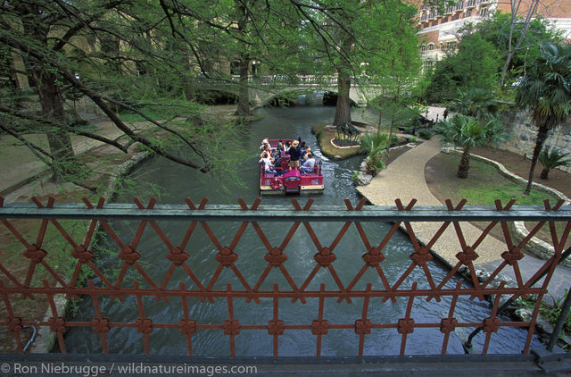 Americas, Iron Bridge, North America, North American, Riverwalk, Ron Niebrugge, San Antonio, United States of America, boat...