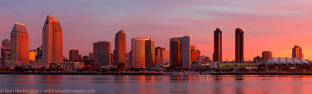 Downtown Skyline