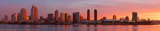 Downtown Skyline