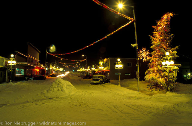 AK, Alaska, Alaskan, Americas, Christmas, Kenai Peninsula, North America, North American, Ron Niebrugge, United States of America...