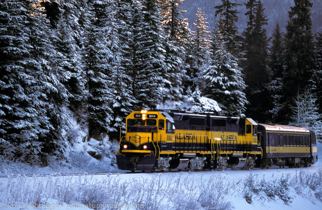 Winter Train