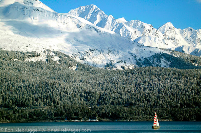 Sailboating in Winter