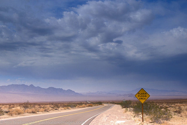 Americas, CA, Calif, California, Californian, Flash flood, Highway 62, Mojave desert, North America, North American, Ron Niebrugge...