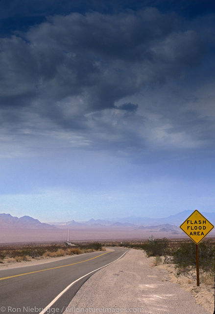 Americas, CA, Calif, California, Californian, Flash flood, Highway 62, Mojave desert, North America, North American, Ron Niebrugge...