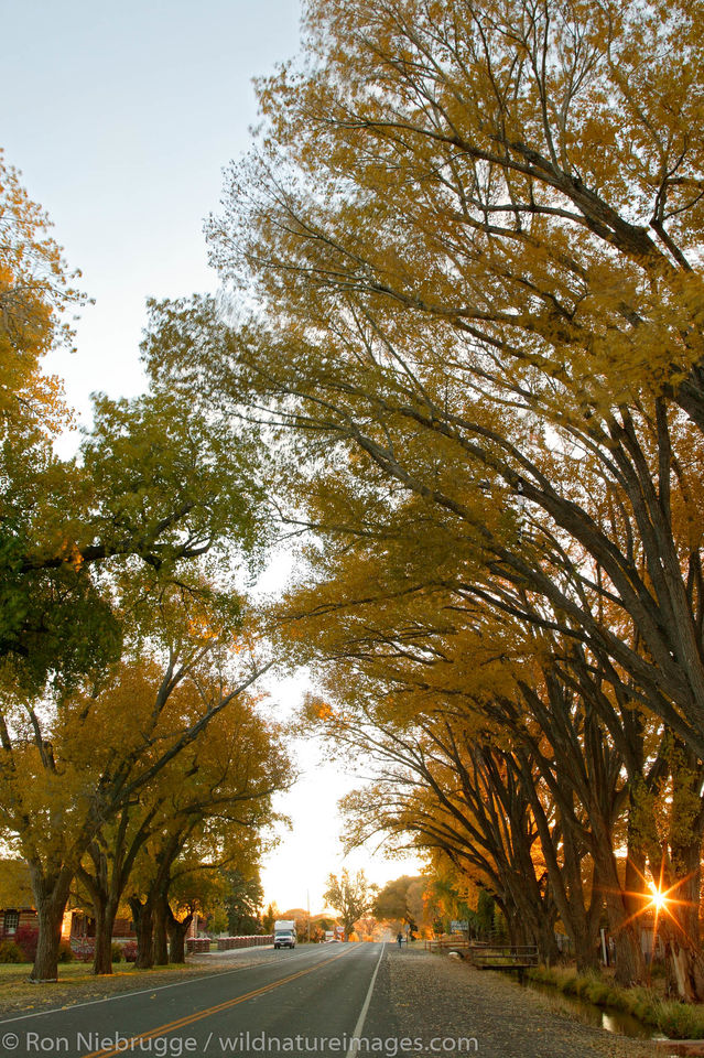 Torrey Utah Ron Niebrugge Photography