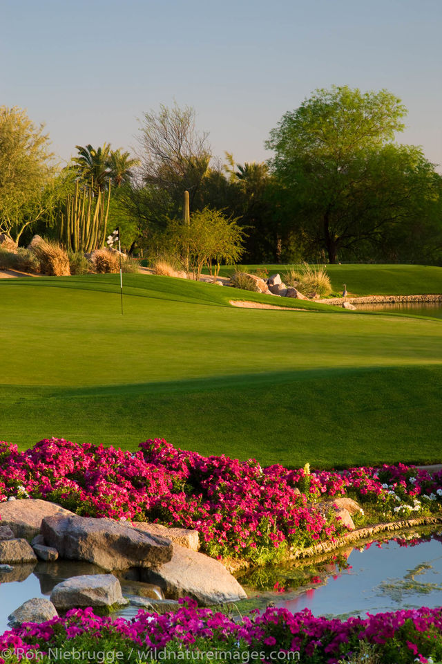 Phoenician Resort Golf Course Ron Niebrugge Photography