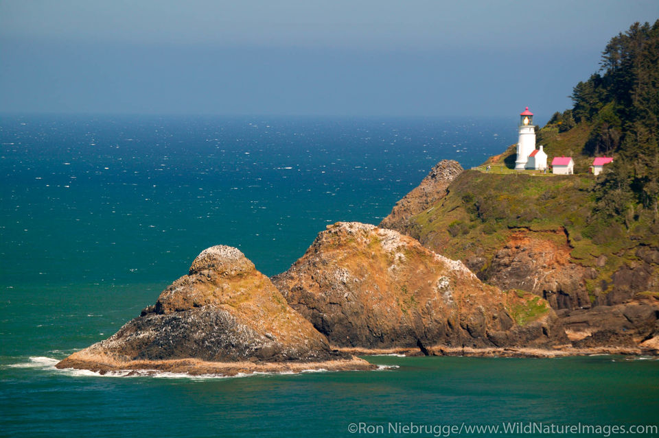 Heceta Head Lighthouse Oregon Coast Ron Niebrugge Photography Heceta Head Lighthouse Oregon Coast Ron Niebrugge Photography