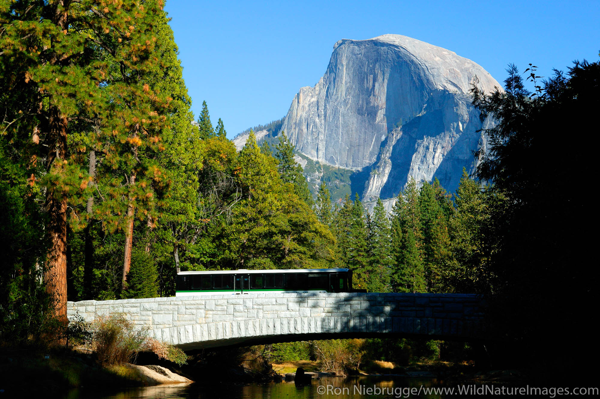The shuttle bus on the  bridge over Merecd River with Half Dome in the background, Yosemite National Park, California.