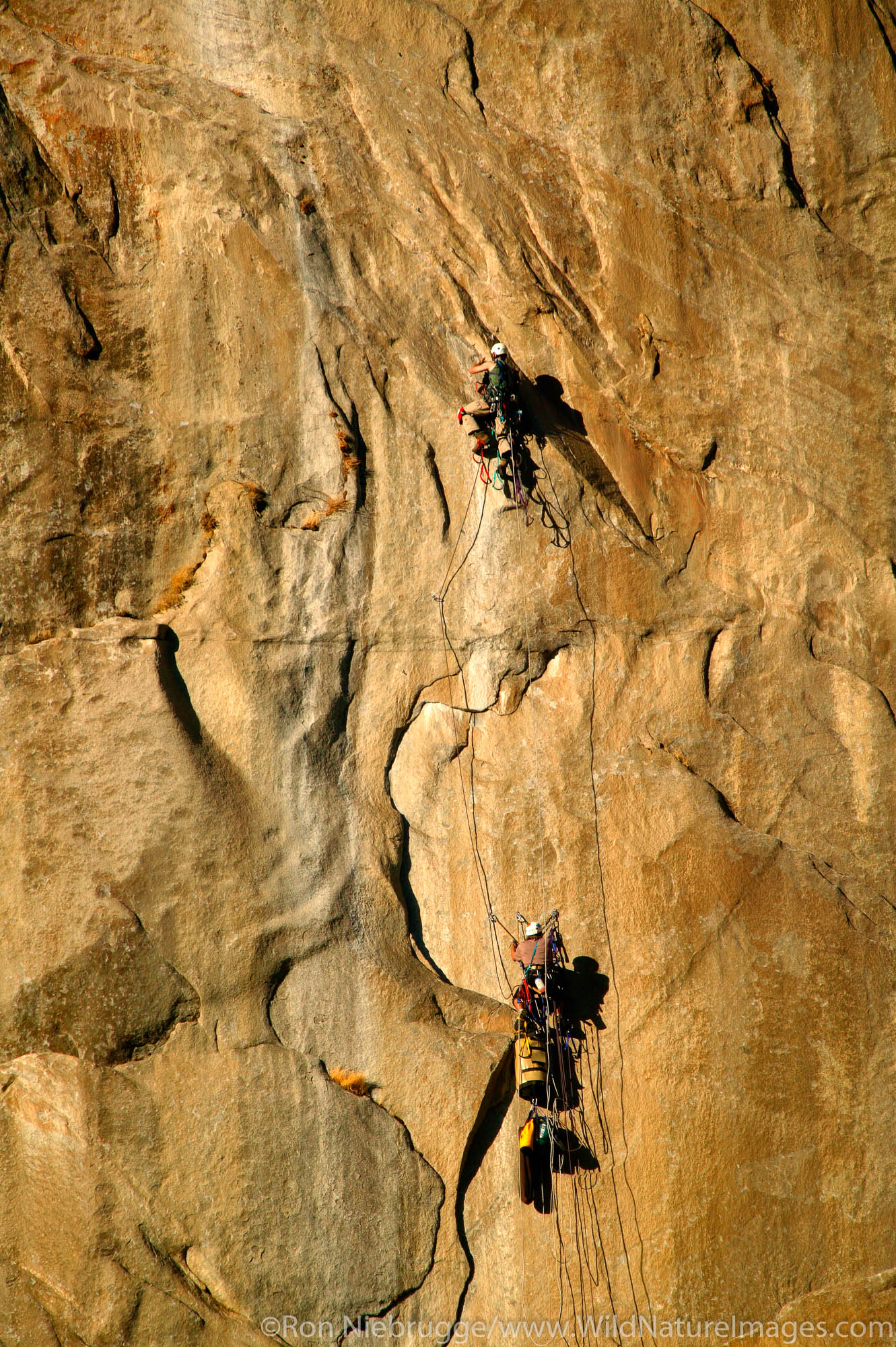 Climbers high upon El Capitan, Yosemite National Park, California.