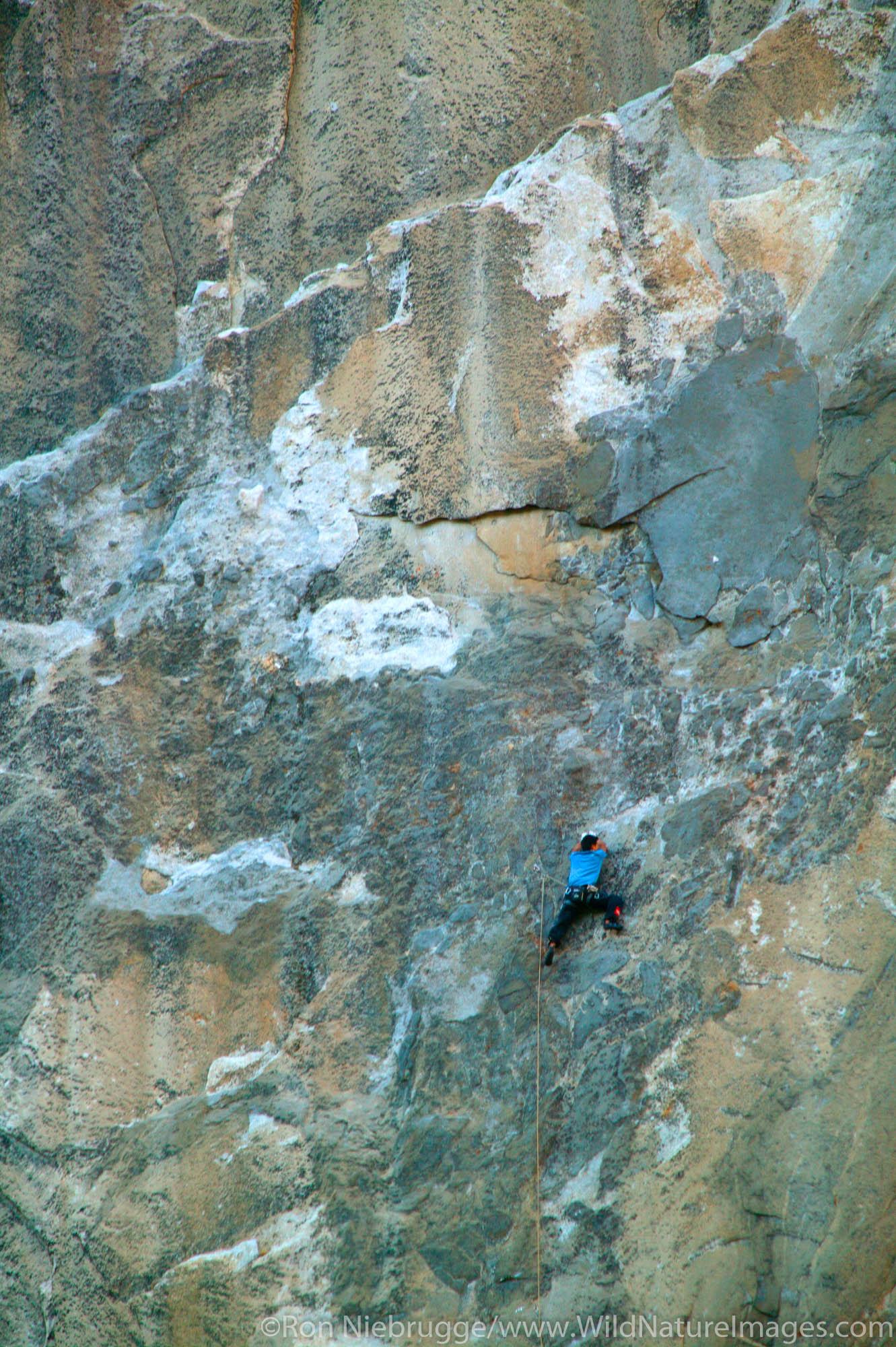 Yuji Hirayama free climbing the El Nino route on El Capitan, Yosemite National Park, California.