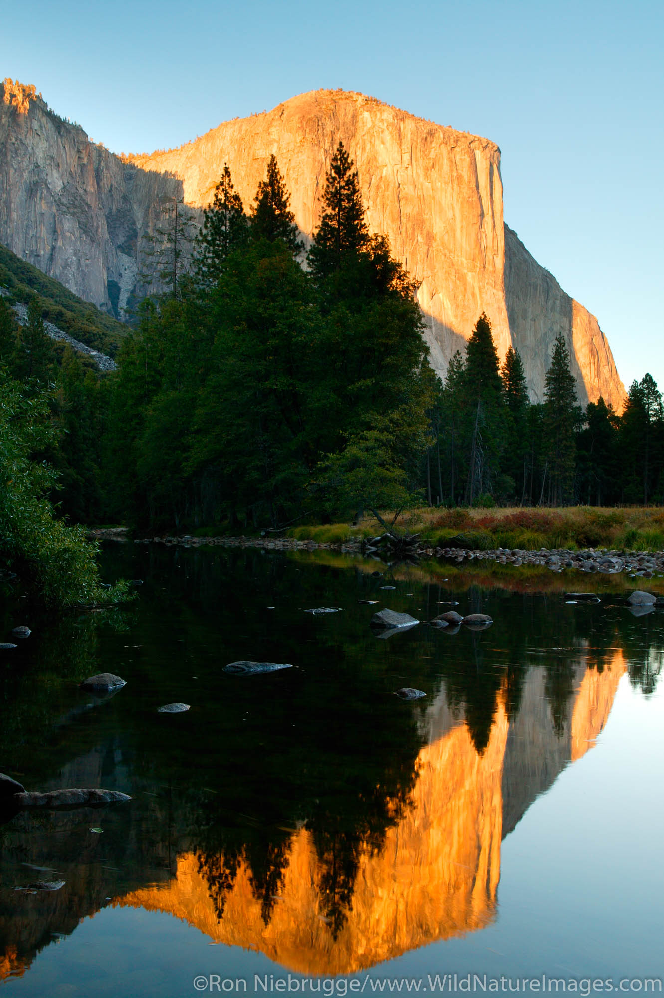 El Capitan and the Merced River, Yosemite National Park, California.