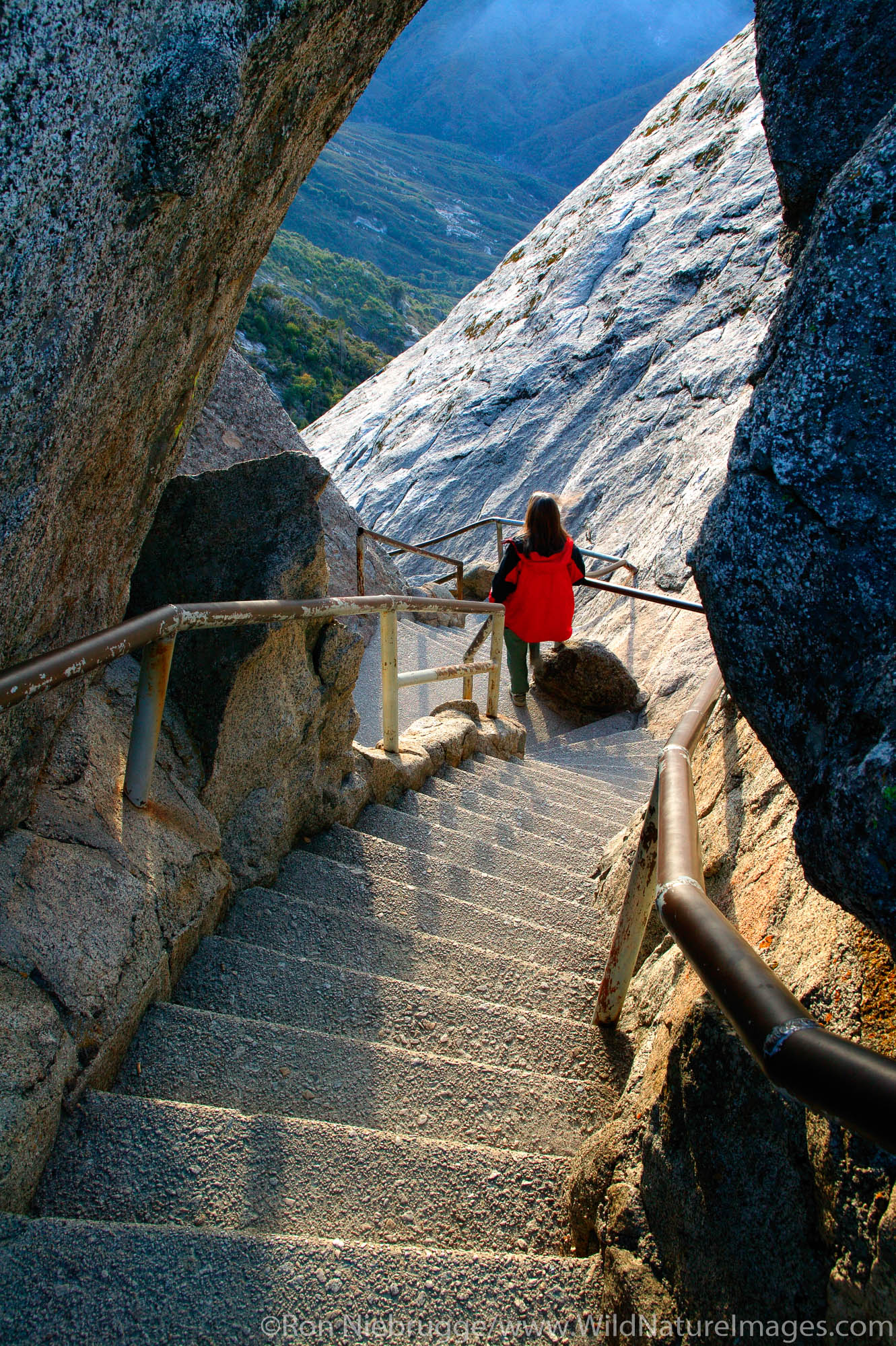 Visitor (MR) climbs Moro Rock, Sequoia National Park, California.  Model Release.