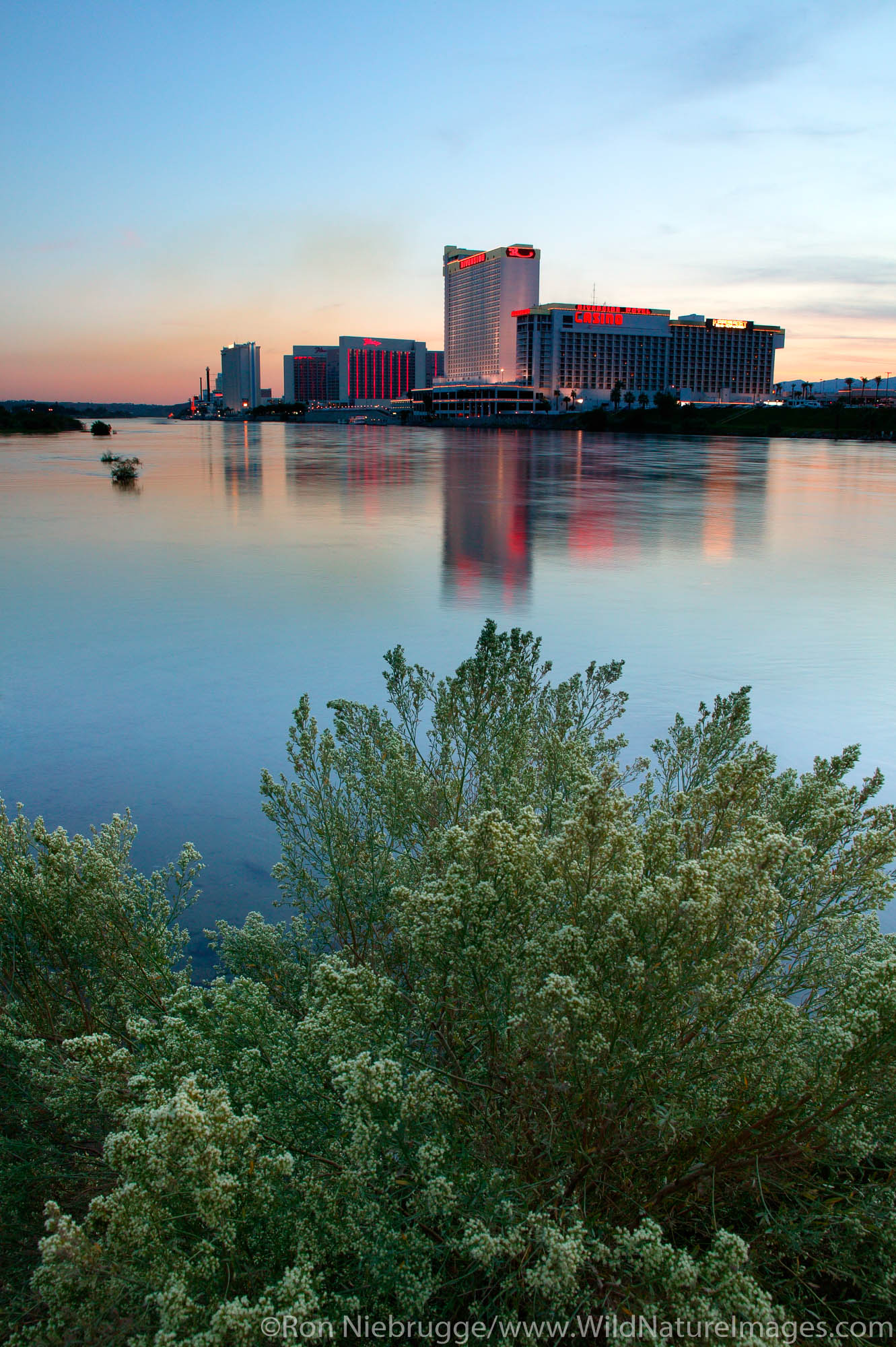 Casinos along the Colorado River, Laughlin, Nevada.