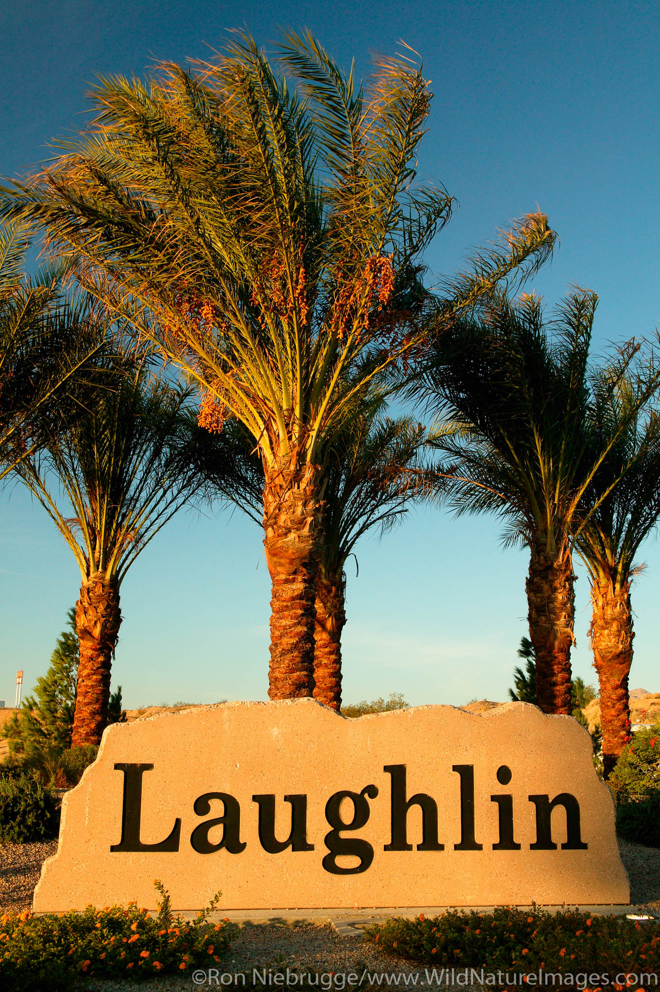 Laughlin Sign Laughlin, Nevada. Photos by Ron Niebrugge