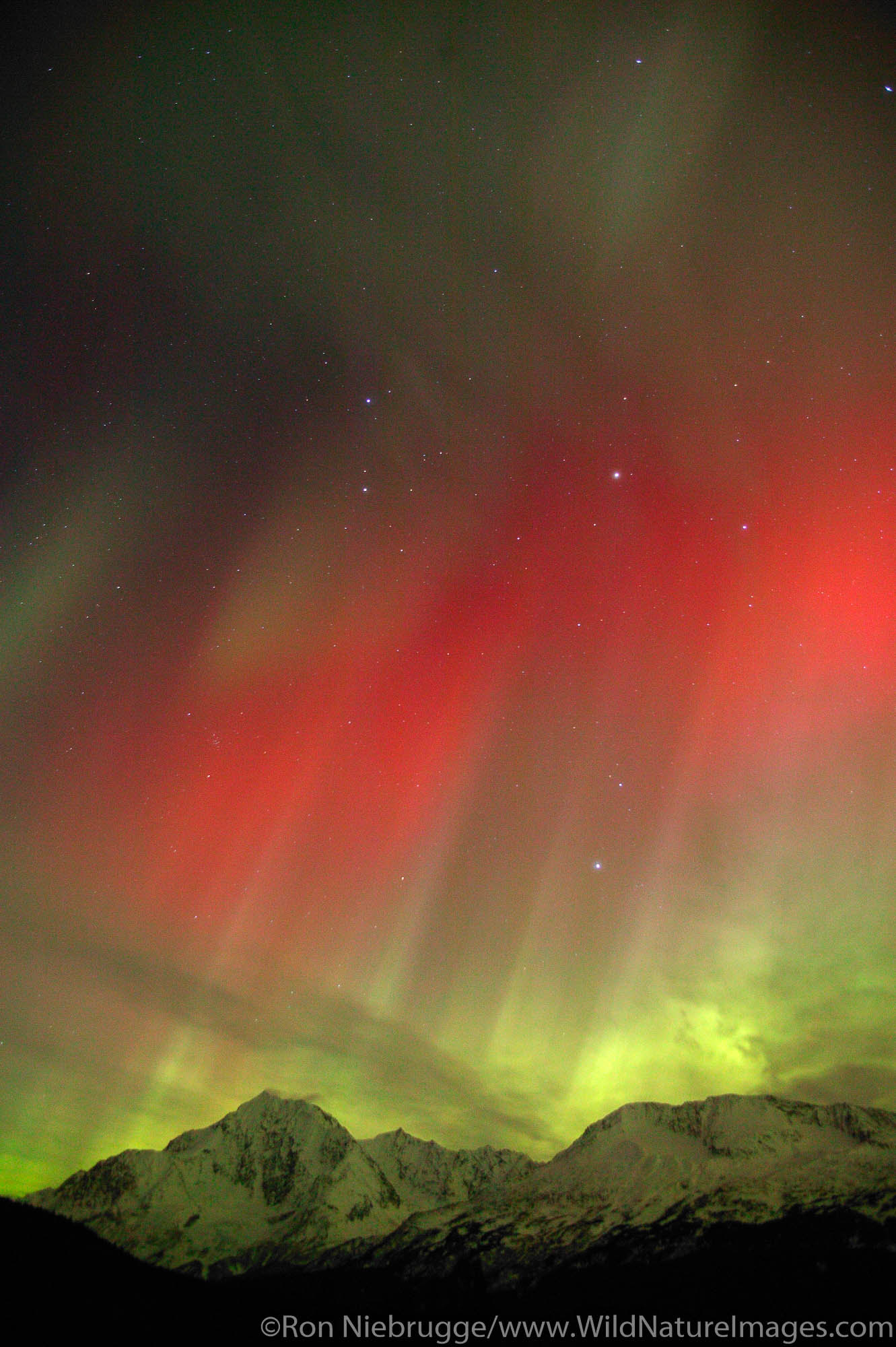 Colorful Northern Lights (Aurora Borealis), Chugach National Forest, on the Kenai Peninsula near Seward, Alaska.