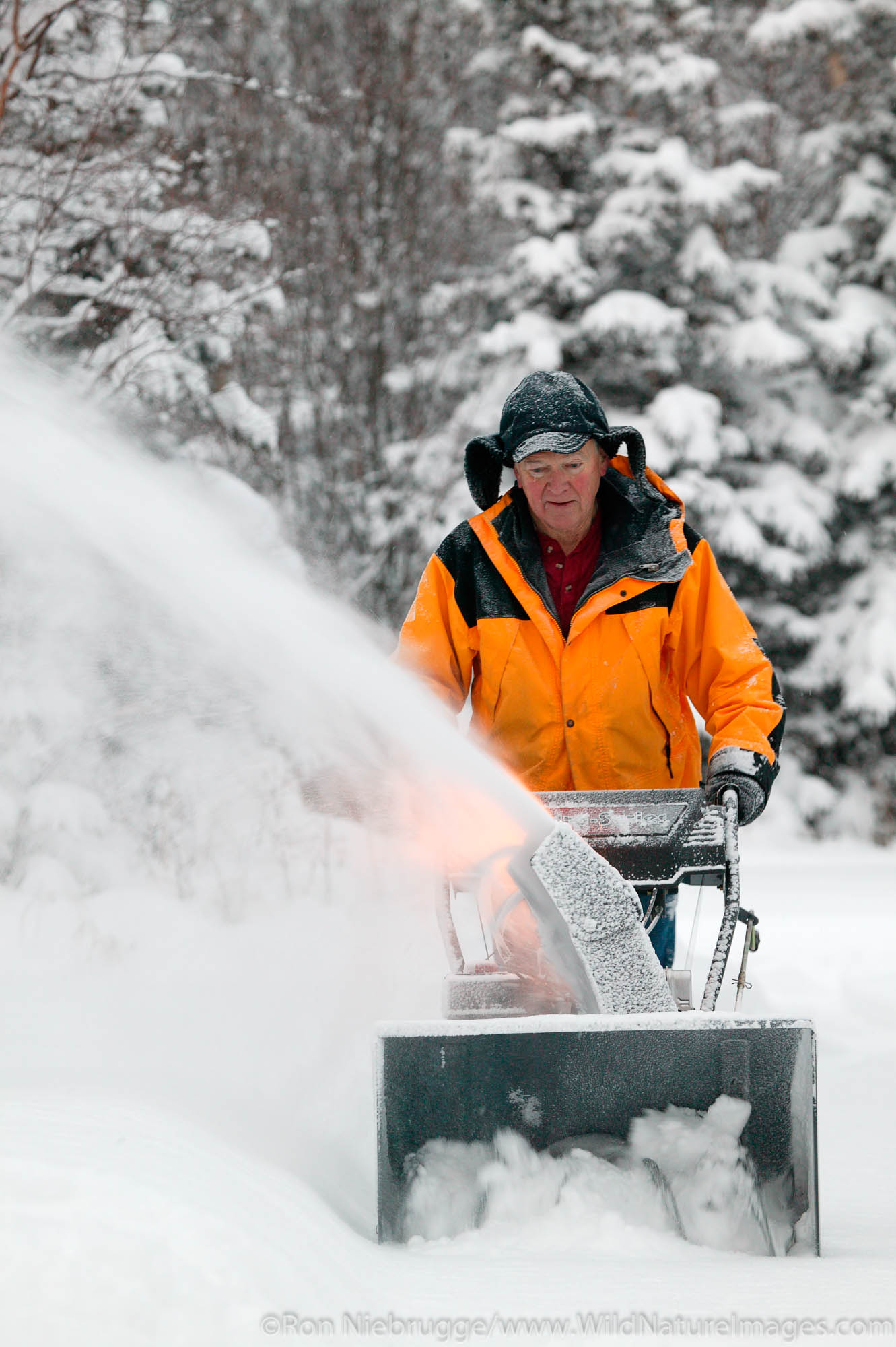 Snowblowing Man snowblowing his driveway after fresh winter snowstorm. (Model Released)