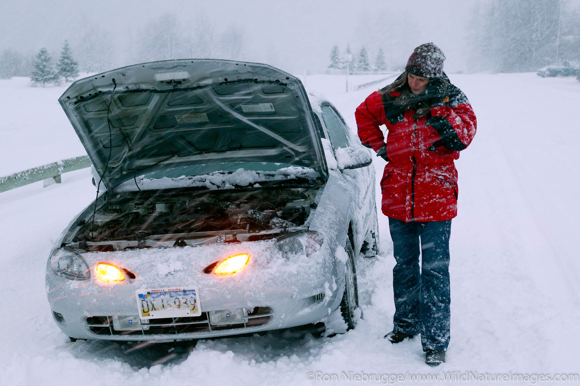 A female traveler with a disabled car, makes a call on her cell phone, during a winter snowstorm, Seward, Alaska.  (MR, PR)