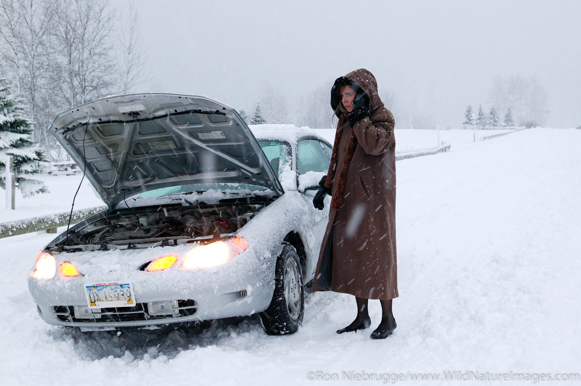 Car Breakdown A female traveler with a disabled car, makes a call on her cell phone, during a winter snowstorm, Seward, Alaska. (MR, PR)