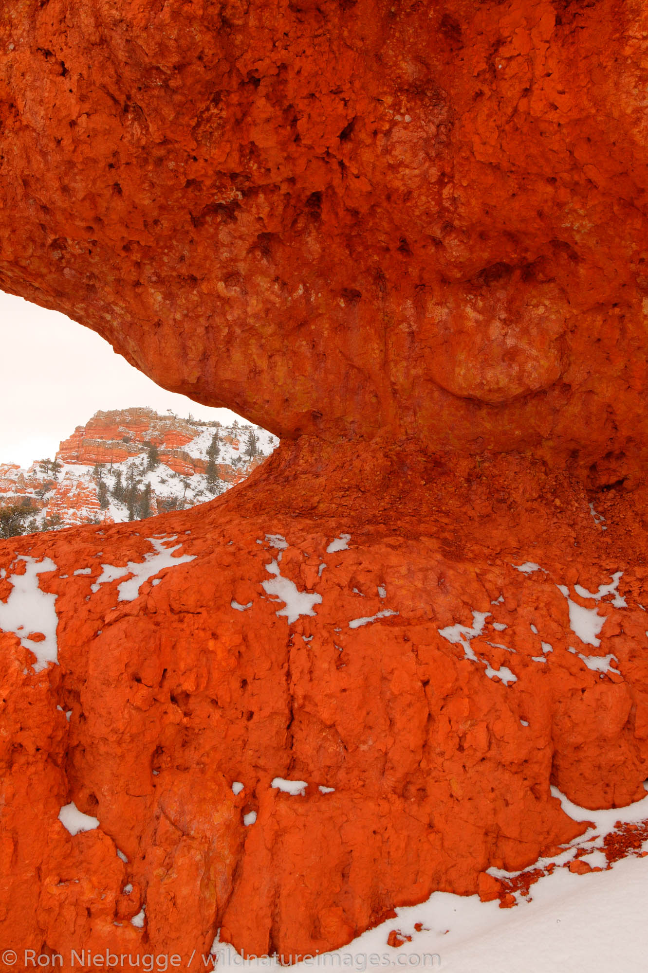 Red Canyon in the winter, Dixie National Forest, Utah.