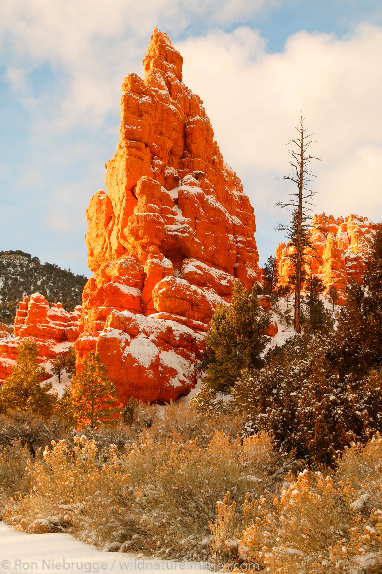 Red Canyon in the winter, Dixie National Forest, Utah.