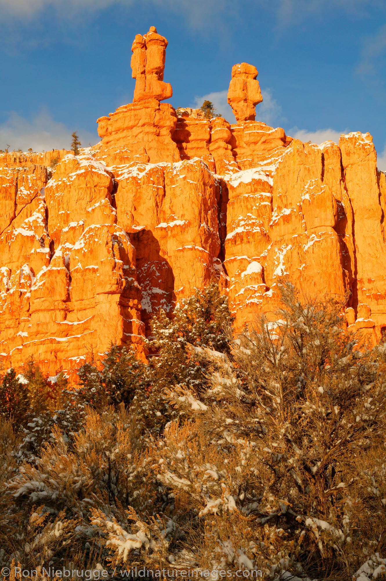 Red Canyon in the winter, Dixie National Forest, Utah.