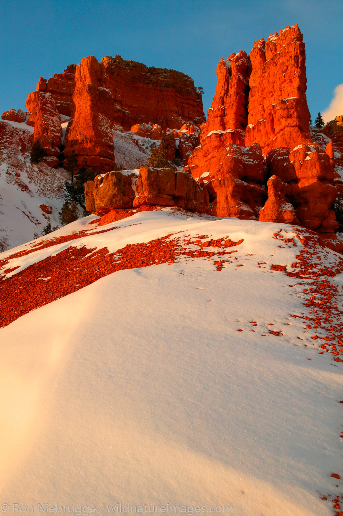Red Canyon in the winter, Dixie National Forest, Utah.