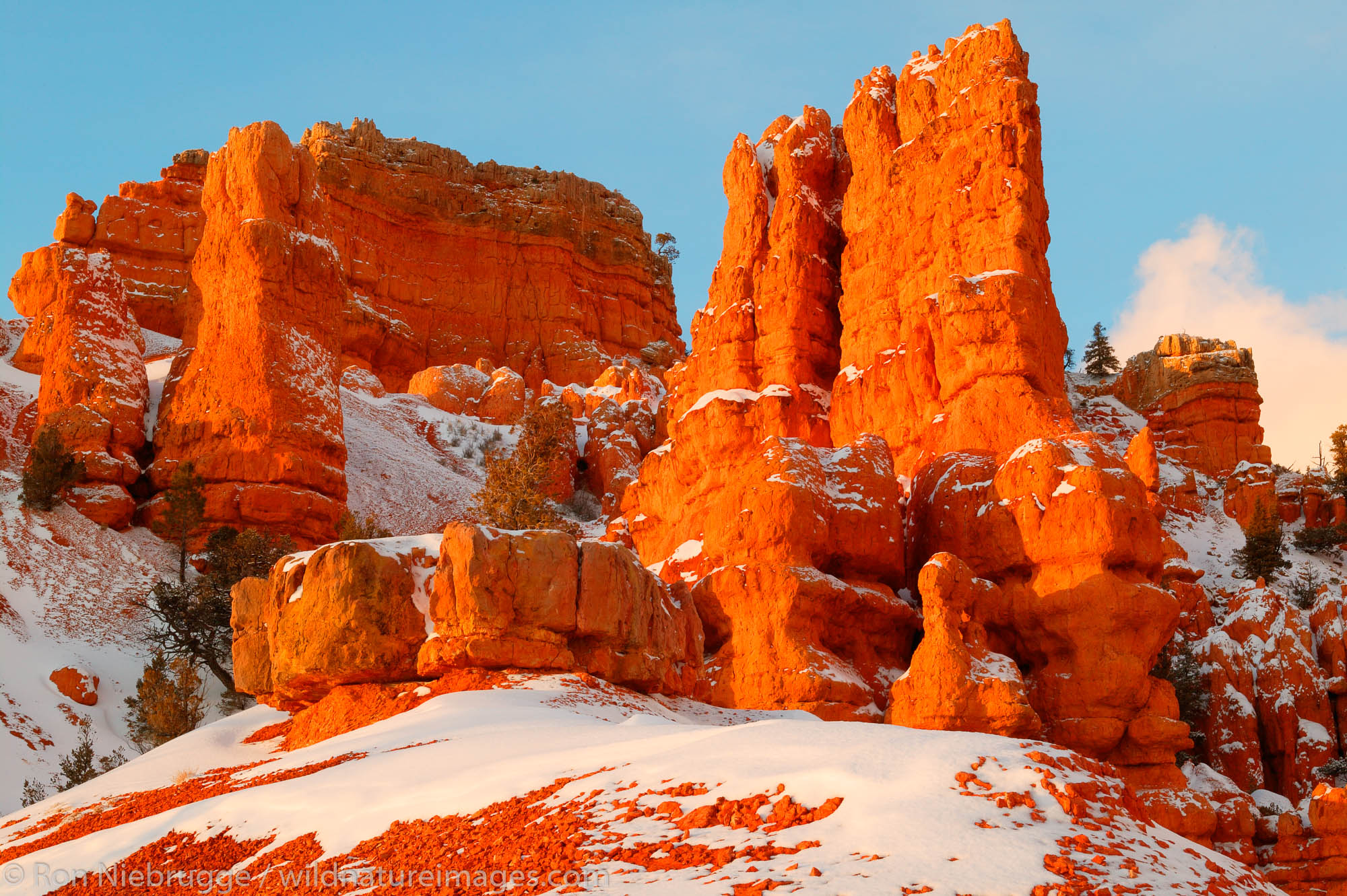 Red Canyon in the winter, Dixie National Forest, Utah.