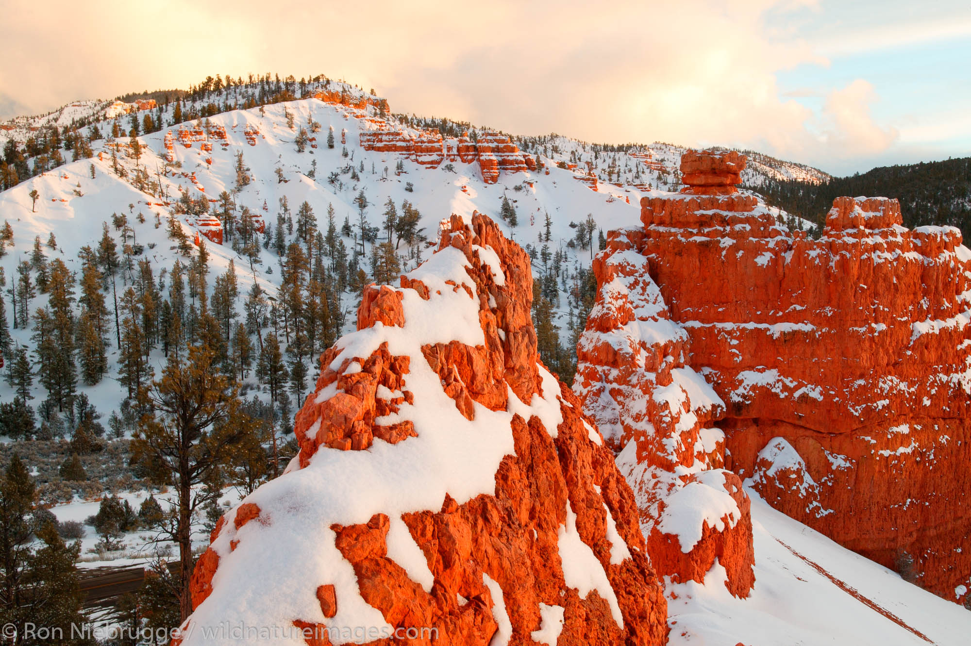 Red Canyon in the winter, Dixie National Forest, Utah.