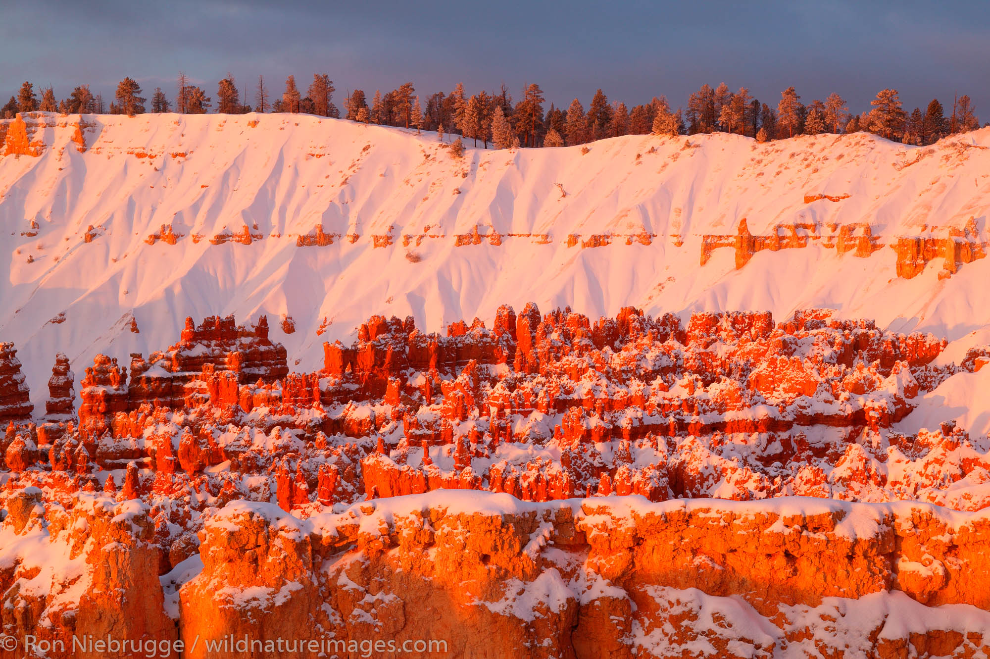 Bryce National Park Sunset Point during winter, Bryce National Park, Utah.