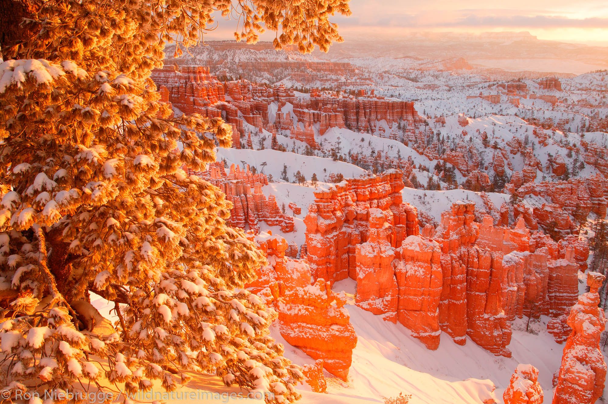 Sunset Point during winter, Bryce National Park, Utah.