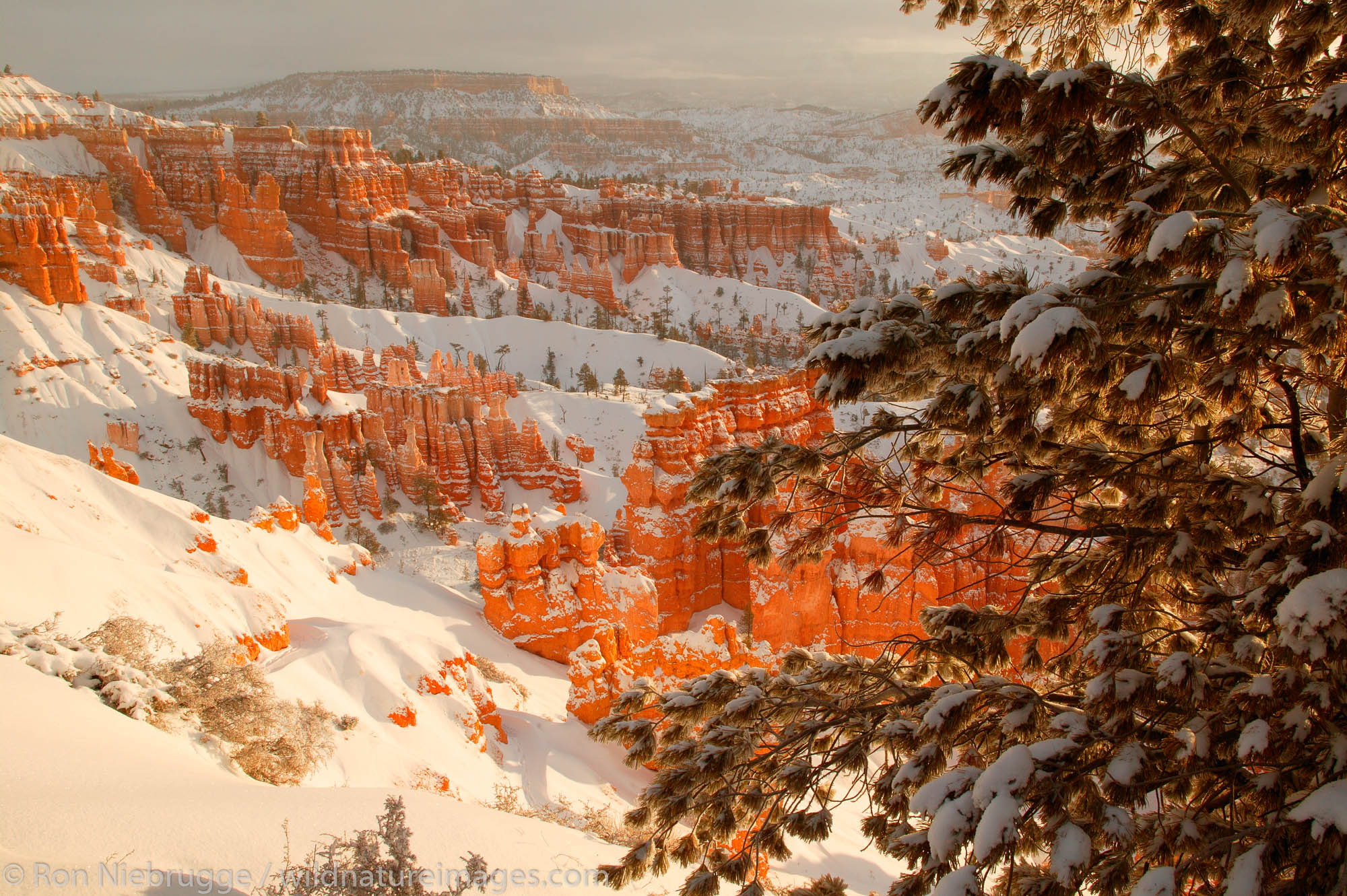 Sunset Point during winter, Bryce National Park, Utah.