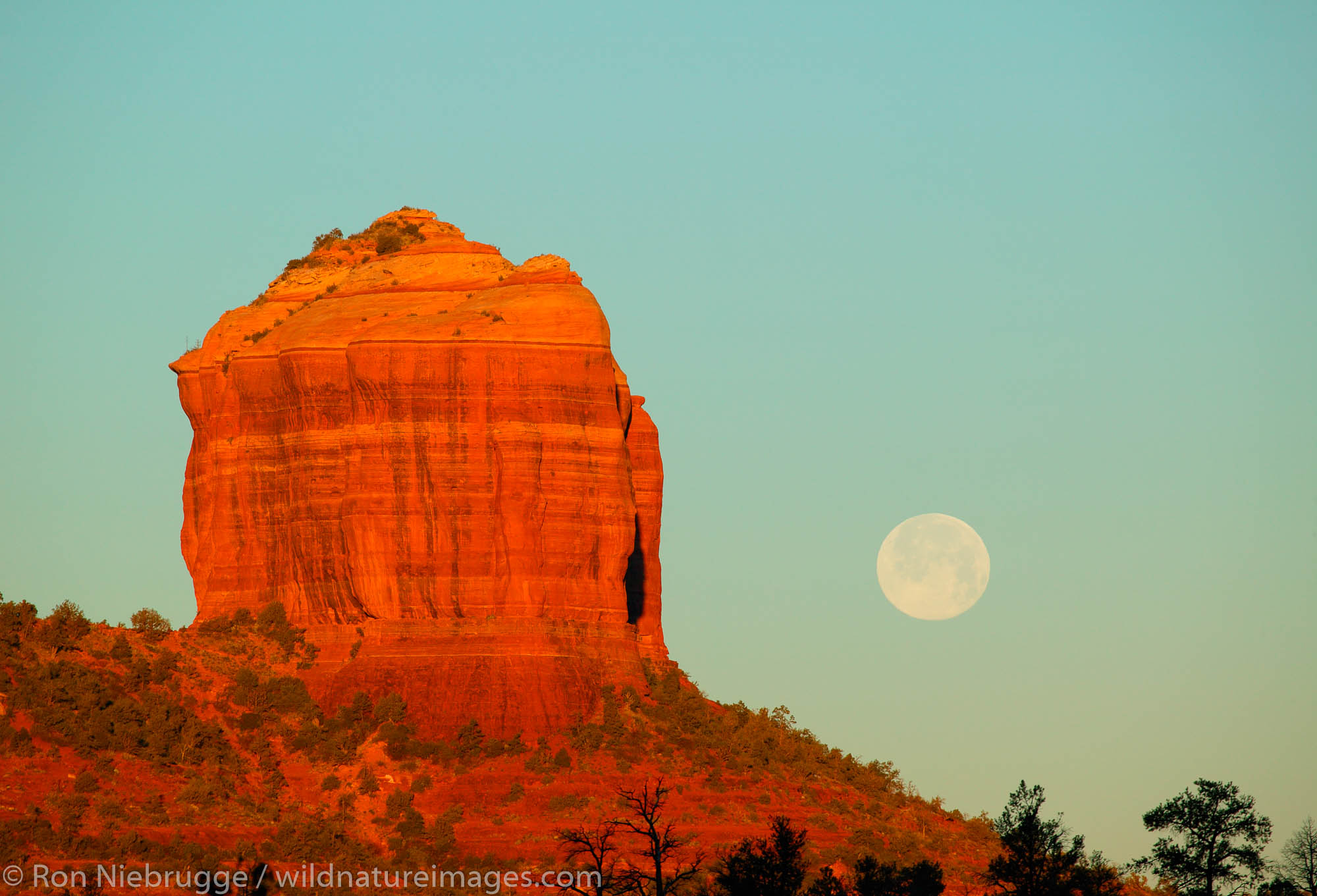 Cathedral Rock with full moon. Moon setting at sunrise and Cathedral Rock, Sedona, Arizona.