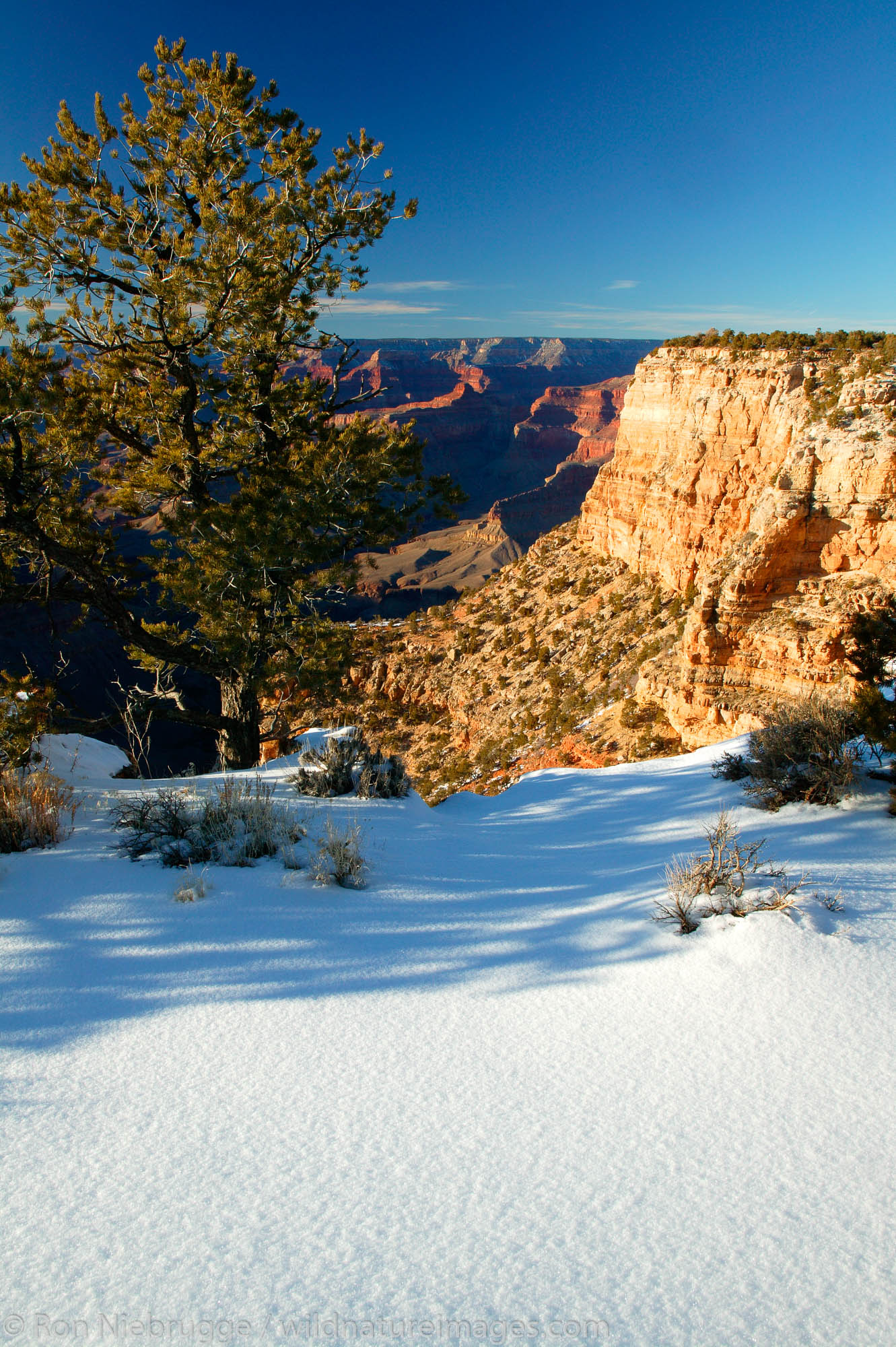 Grand Canyon with snow. The Abyss from Hermit Road, Grand Canyon National Park, Arizona.