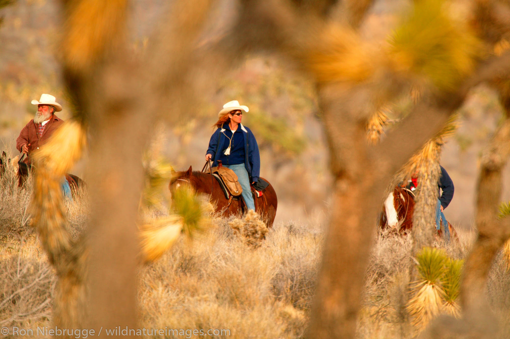 Horseback riding in the Mojave Desert, California.